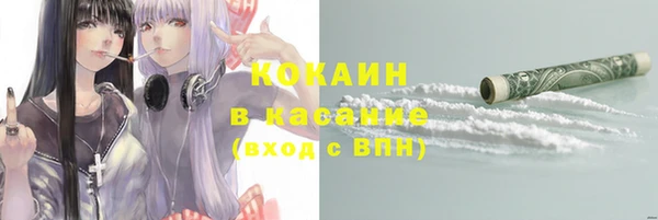 spice Дмитриев