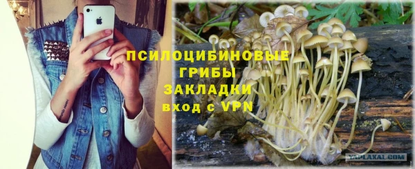 spice Дмитриев