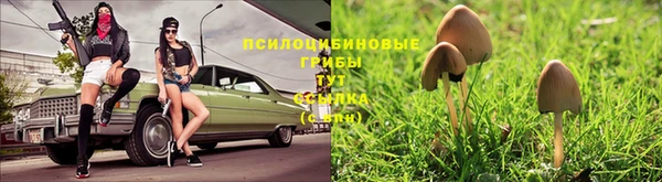 spice Дмитриев