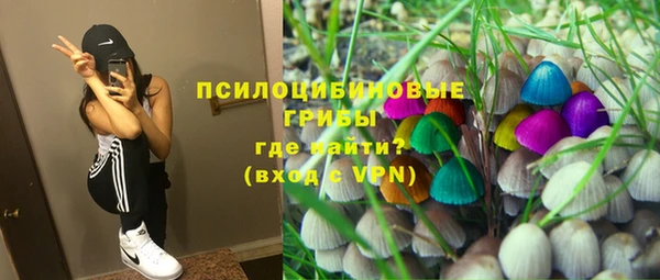 прущая мука Дмитров
