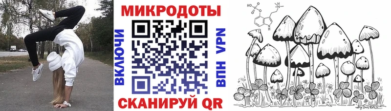 Купить где  Усть-Лабинск  Галлюциногенные грибы Cubensis 